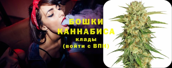стаф Елабуга