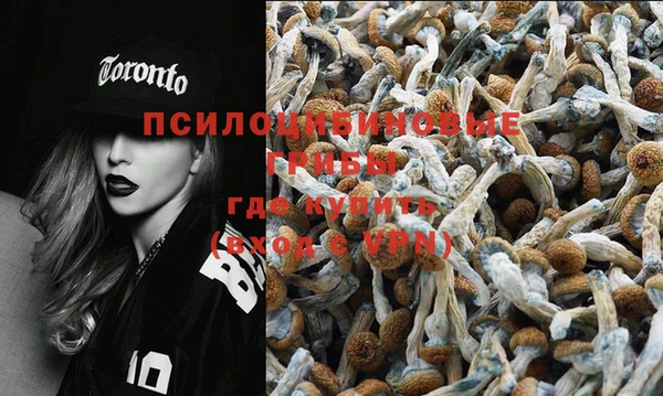 a pvp Елизово