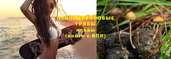 стаф Елабуга