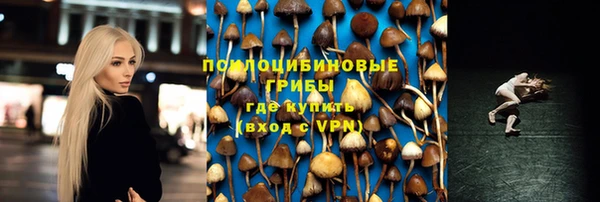 стаф Елабуга