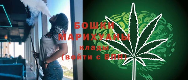 стаф Елабуга
